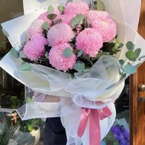 Hoa cúc mẫu đơn