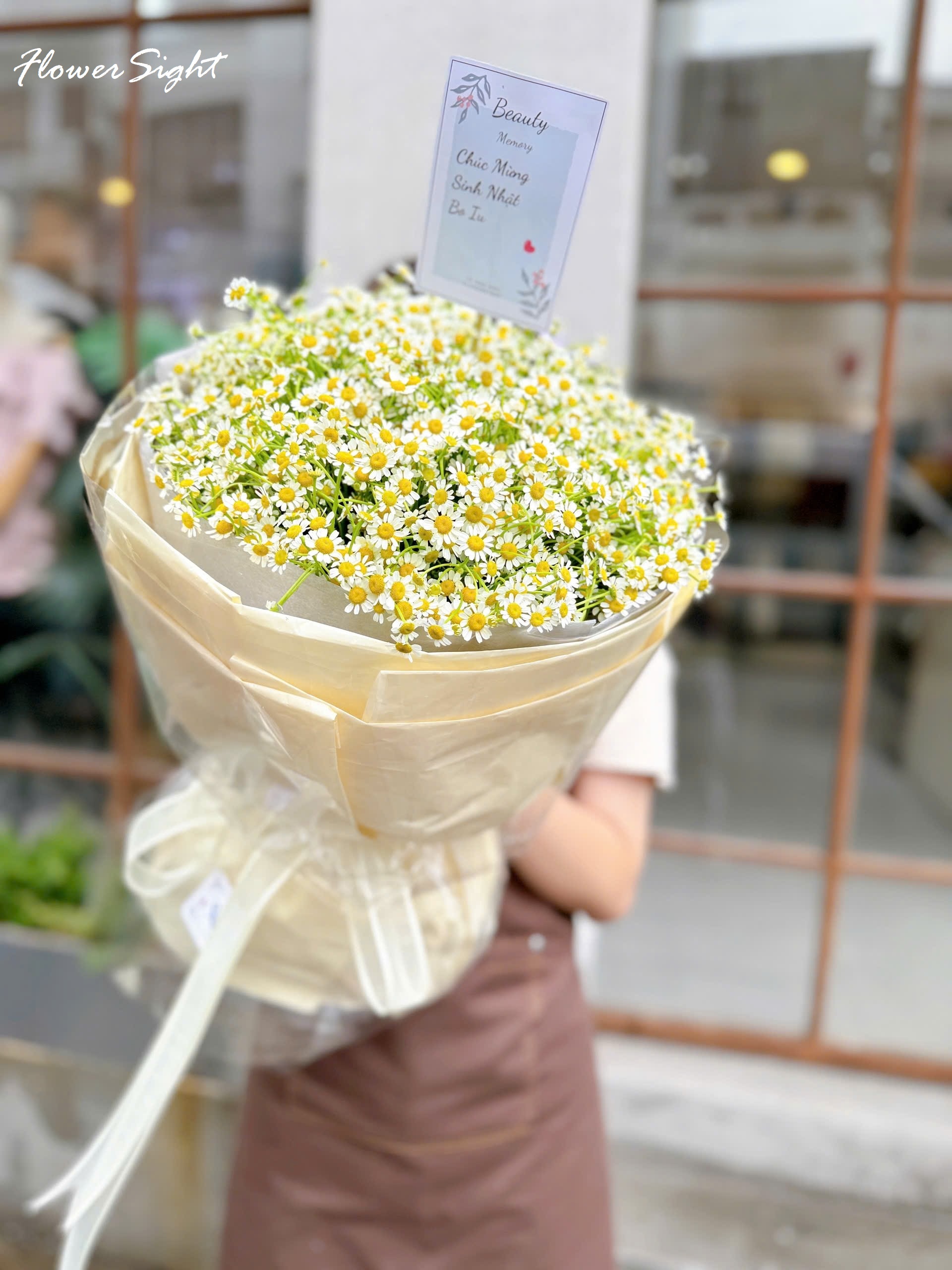 bo-hoa-cuc-tana-dep-tai-FlowerSight